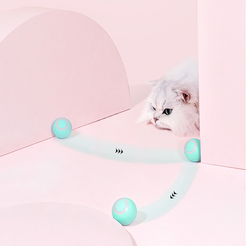 Pet fashion magic ball