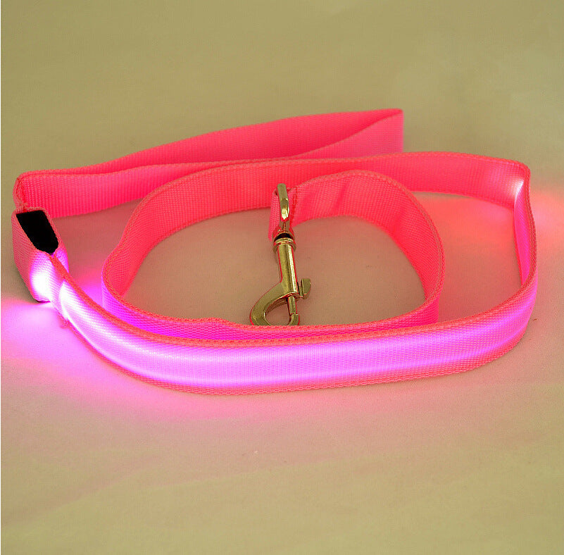 Glow Paw Leash