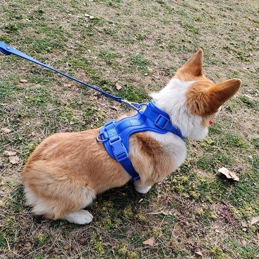 No Tug Pooch Harness