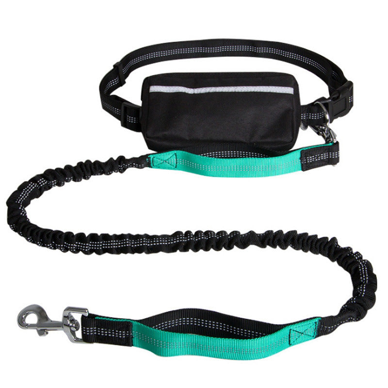 Stride Buddy Leash