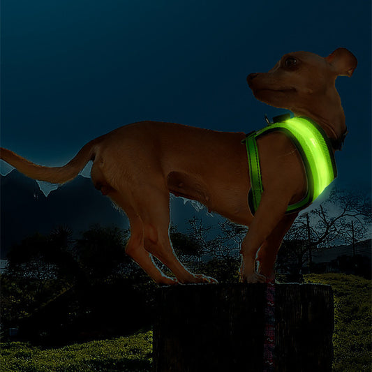 Glo Pal Harness