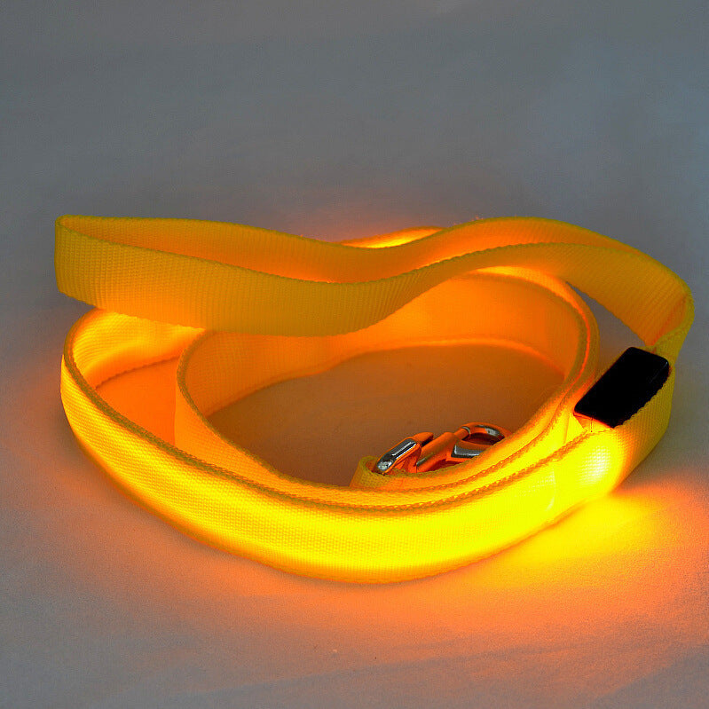 Glow Paw Leash