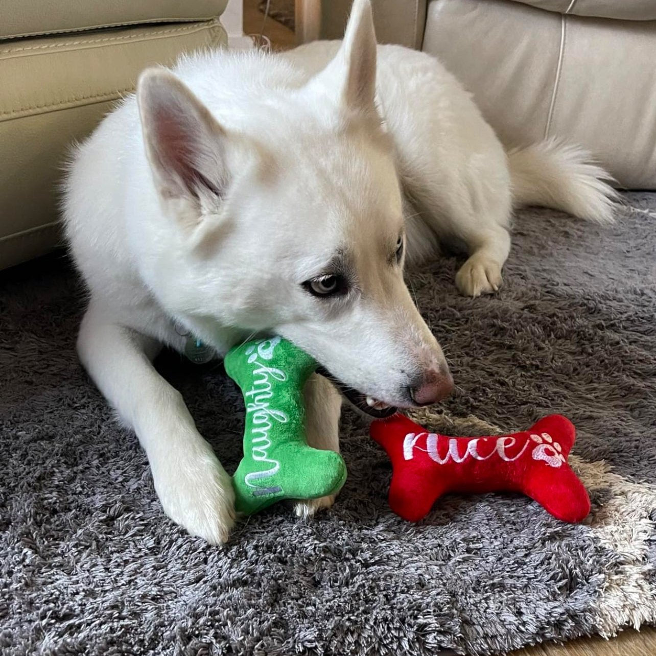 Santa's Squeaky Pals