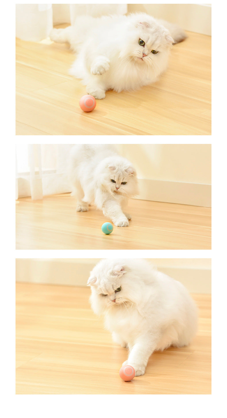 Cat Gravity Intelligent Rolling Ball Tease Toy Pet Automatic Rotating Ball - PumpedPets