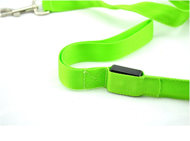 Glow Paw Leash