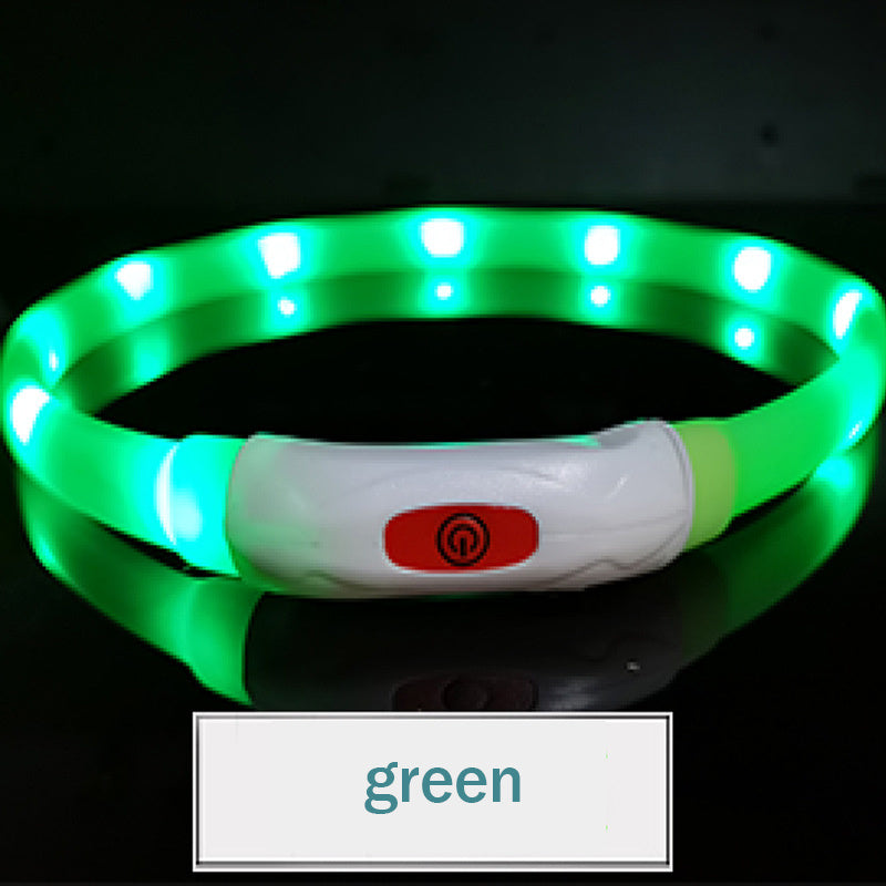 Camp Glow Canine Collar