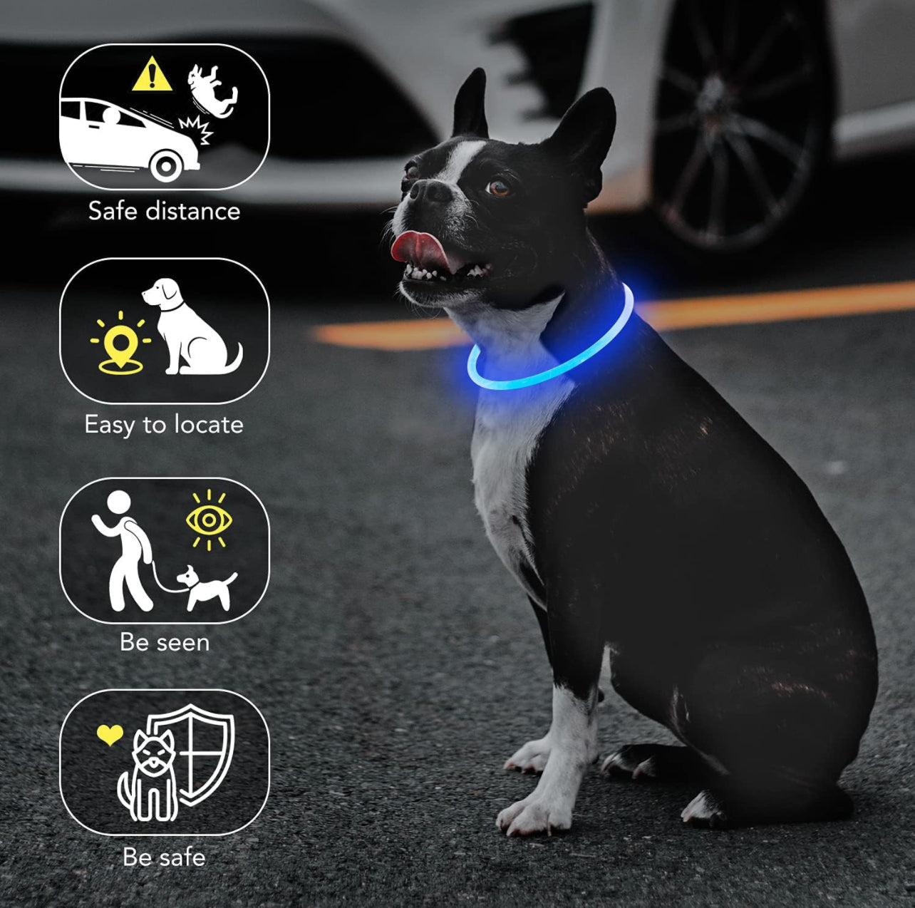 Camp Glow Canine Collar