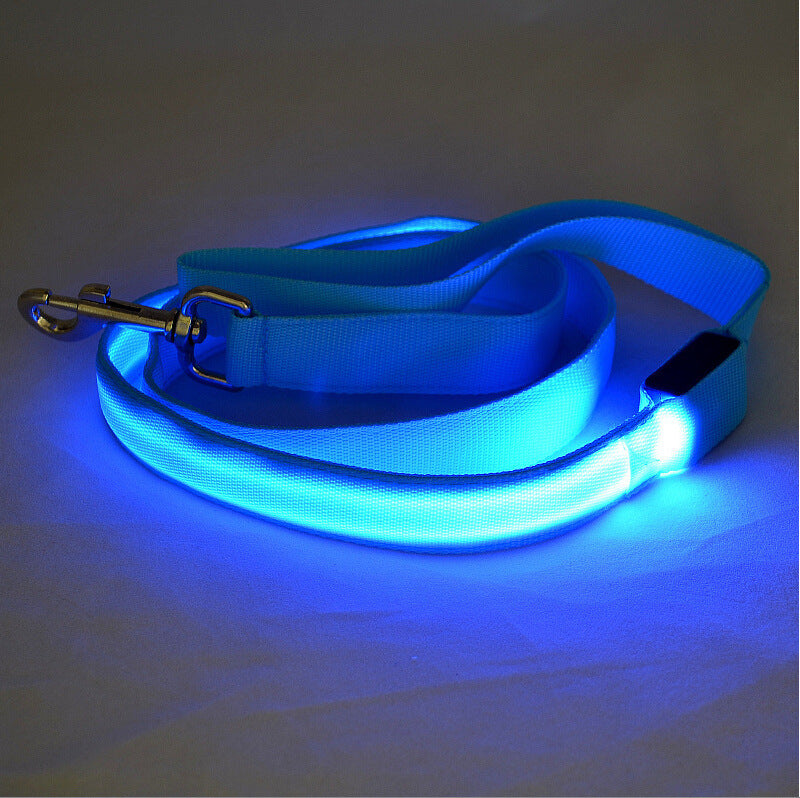 Glow Paw Leash