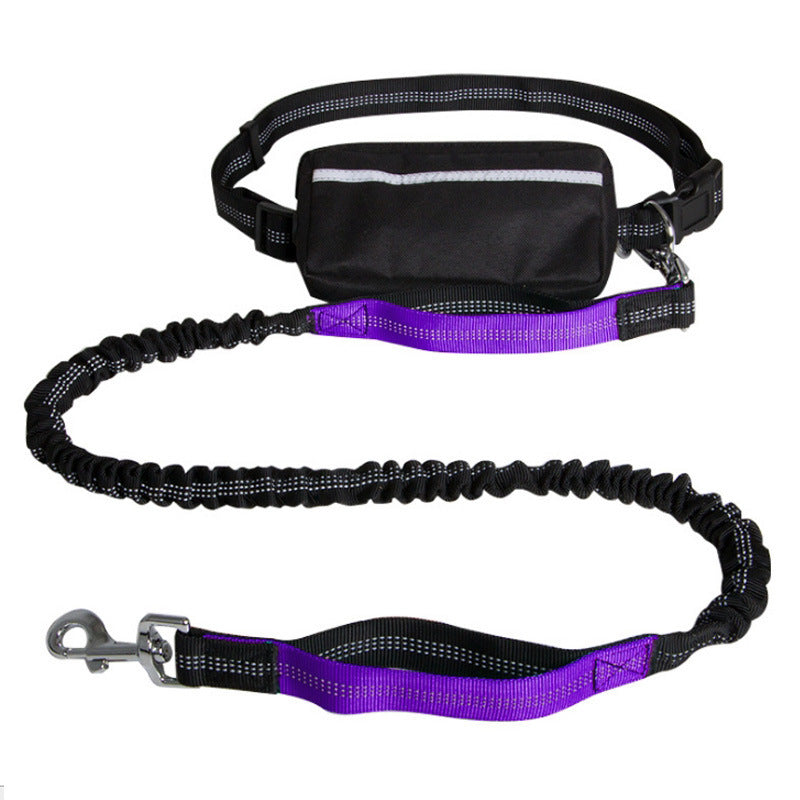 Stride Buddy Leash