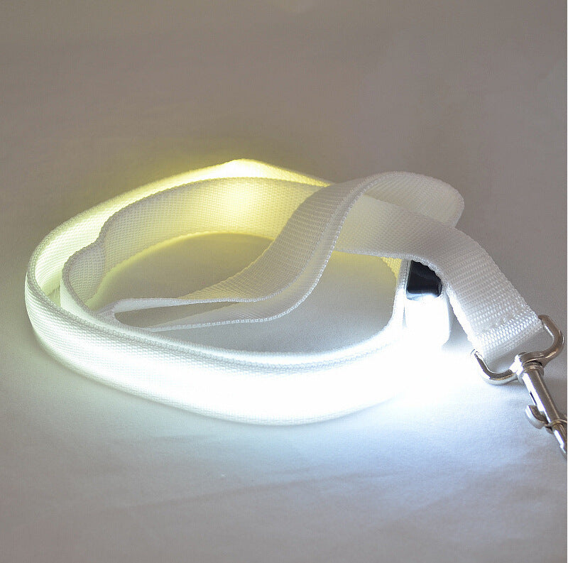 Glow Paw Leash