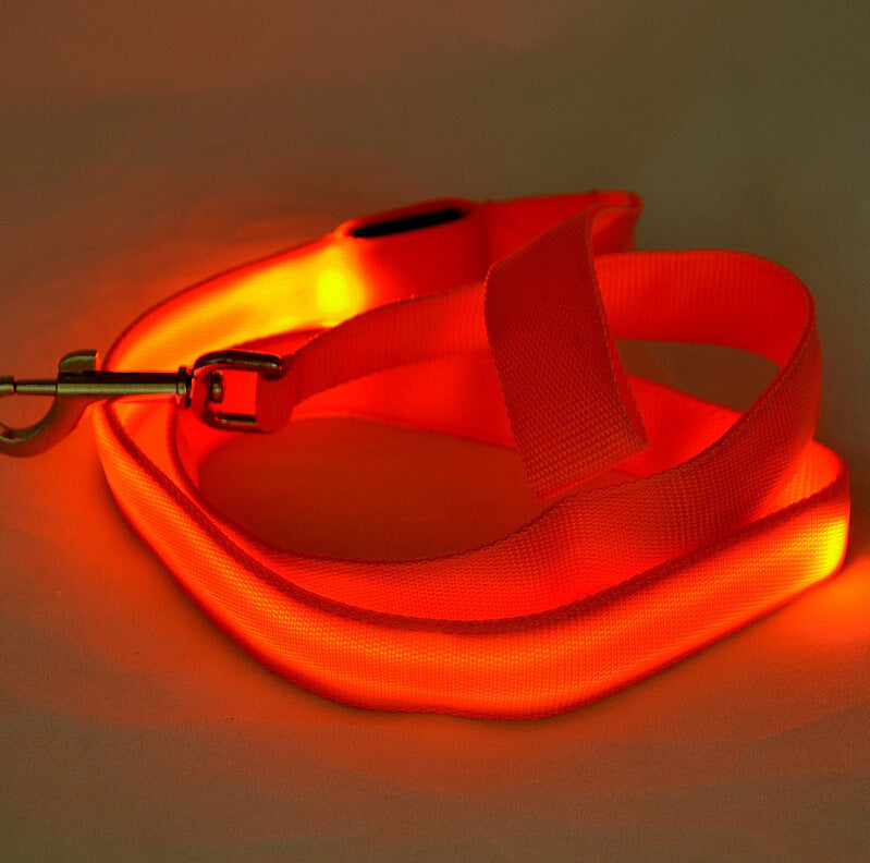 Glow Paw Leash