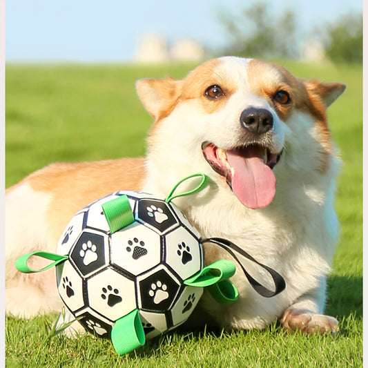 Woof Soccer Ball