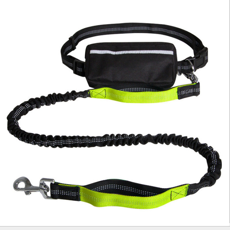 Stride Buddy Leash